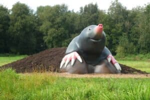 Die besten Maulwurf Spiele