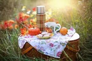 Picknicken mit der gesamten Familie - Eine schöne zeit zusammen