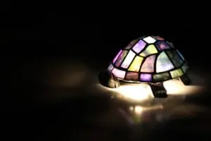 Die 10 besten Schildkröten Nachtlichter für Babys