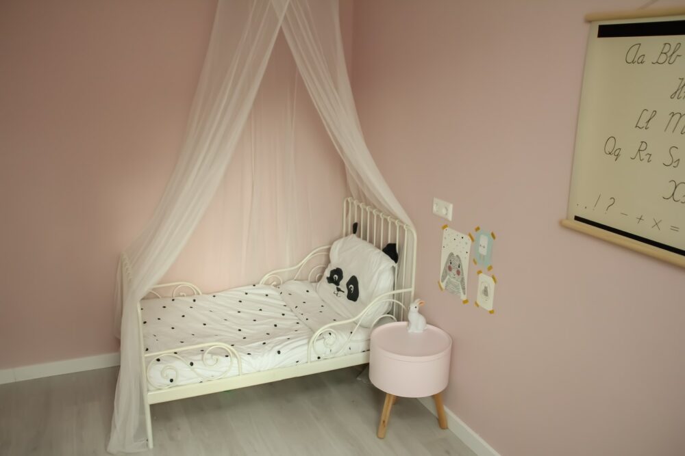 toddler's bed with mesh canopy