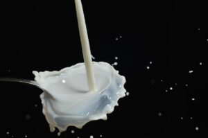 Milchauffangschale